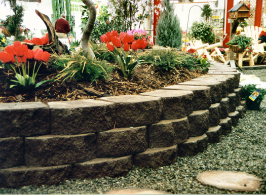 CST Windsor Stone Wall/Brown  - Ali's Nursery, Plantsville, C