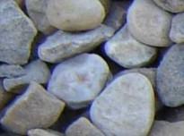 3/4" Tricolor Stone - Ali's Nursery