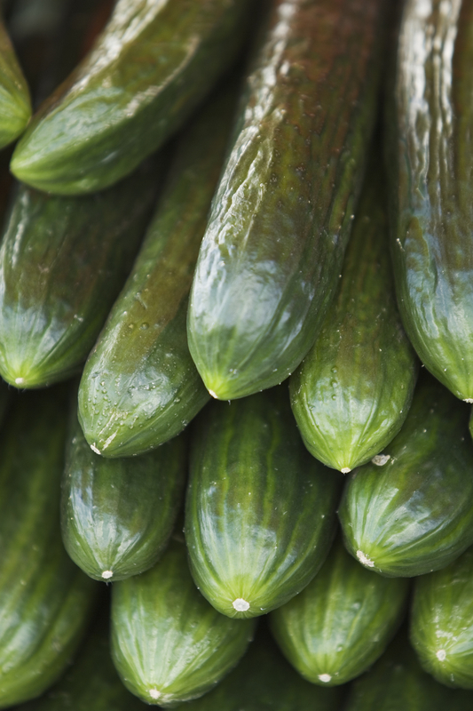 Cucumbers and other vegetables for your garden from Ali's Nursery