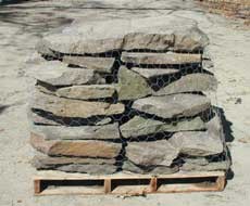 Fieldstone: Pennsylvania Steppers and Gardenpath