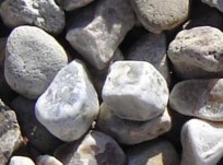 Pearl Pebble - Ali's Nursery