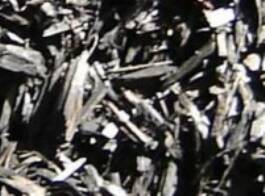 Brown Mulch - Ali's Nursery