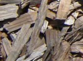 Clean Wood Chips - Ali's Nursery