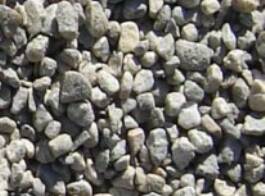 Peastone - Ali's Nursery