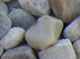 1-1/4" Tricolor Stone - Ali's Nursery