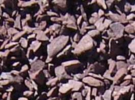 Burgundy Stone - Ali's Nursery