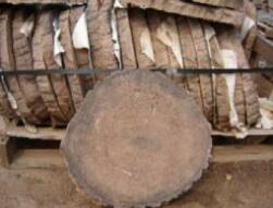 Round Log Stepping Stones in 3 Sizes - Ali's Nursery, Plantsville, CT