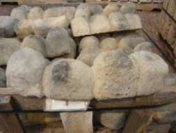 Cobblestone Edging - Ali's Nursery, Plantsville, CTu