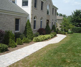 Ali's Nursery has satisfied many customers the past 20 years.