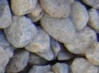 Yellow Tricolor Stone - Ali's Nursery